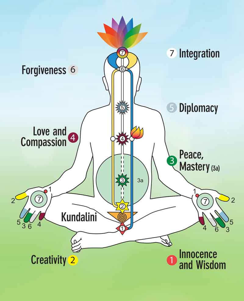 Image illustrating the chakras and energy channels in the Subtle System.