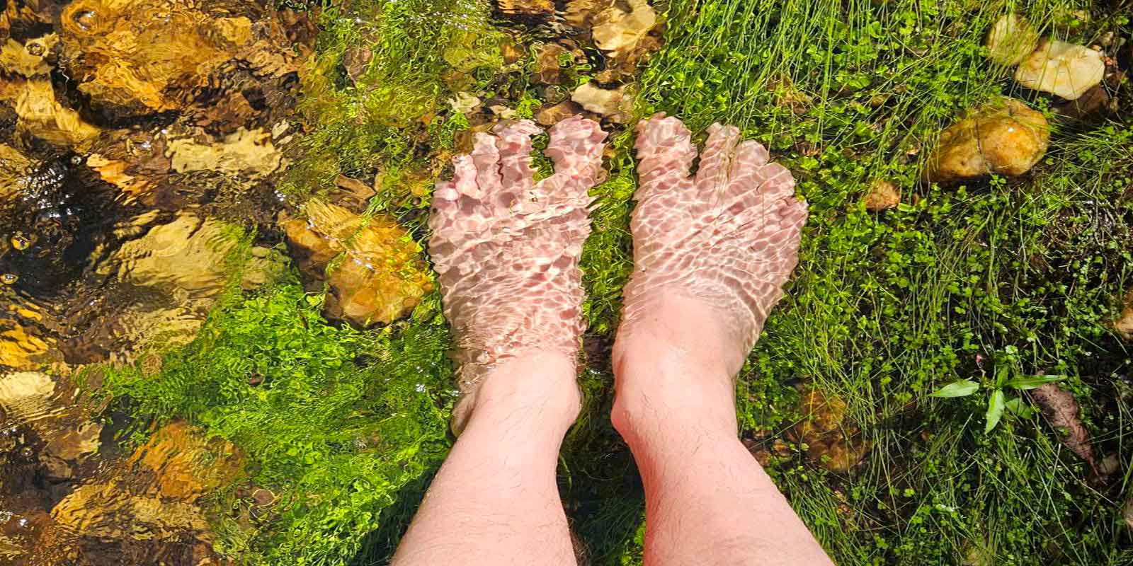 An image depicting the Water Cleansing Technique